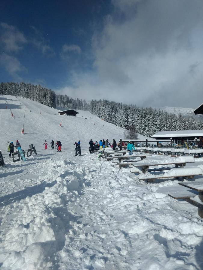 Wildente Am See Maishofen Exterior foto